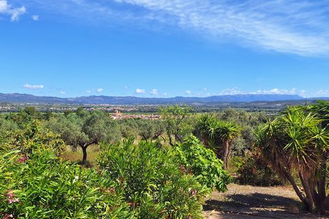 Landejendom i Ginestar, Tarragona, Ginestar - € 375.000 | Ref: CC845 - foto 13
